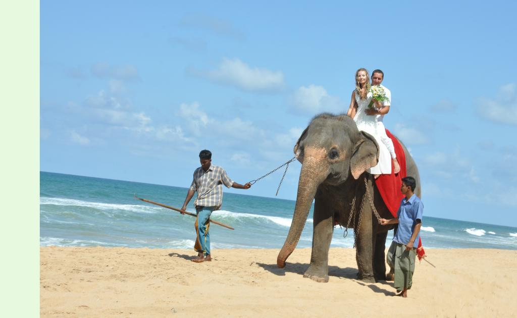 Bentota Home Stay Екстериор снимка