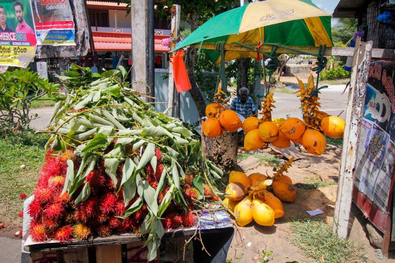 Bentota Home Stay Екстериор снимка